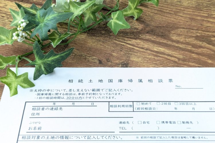 「相続土地国庫帰属制度」を活用するにはどうすればよいか（イメージ）