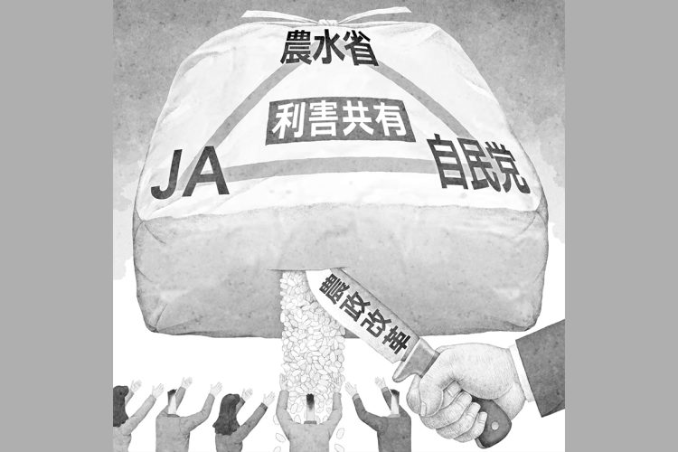 「農政トライアングル」の構造を壊す農政改革とは（イラスト／井川泰年）