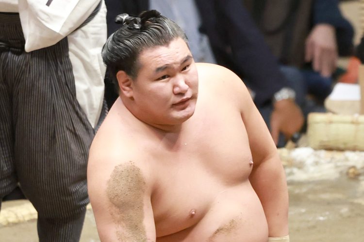 豊昇龍