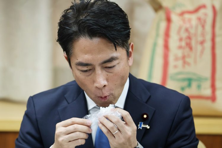 日本のコメ流通の仕組みはどうなっているのか（小泉進次郎・農水相／時事通信フォト）