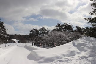 ハロウインターナショナル安比校が開校した岩手県八幡平市安比高原は、スキーの名所としても知られる