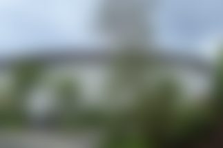 有名建築家が担当したこだわりのデザインだという