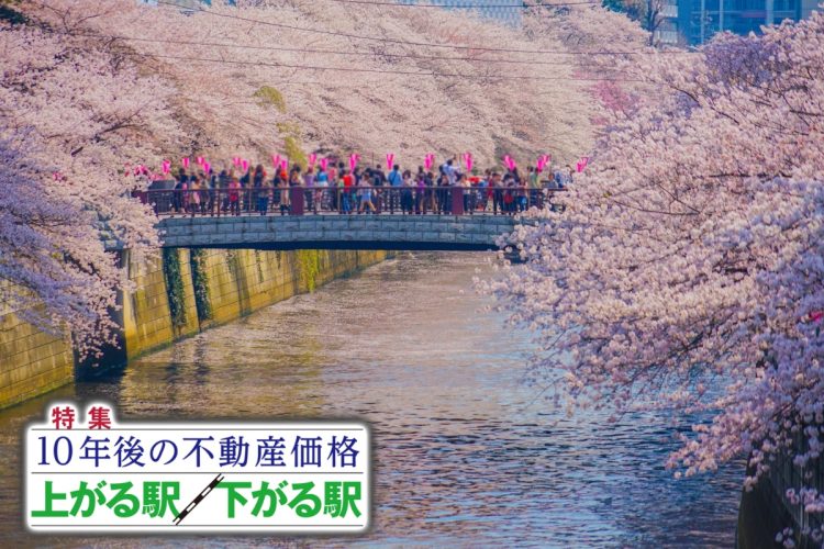 桜の名所として知られる目黒川も近い「池尻大橋」（写真：イメージマート）