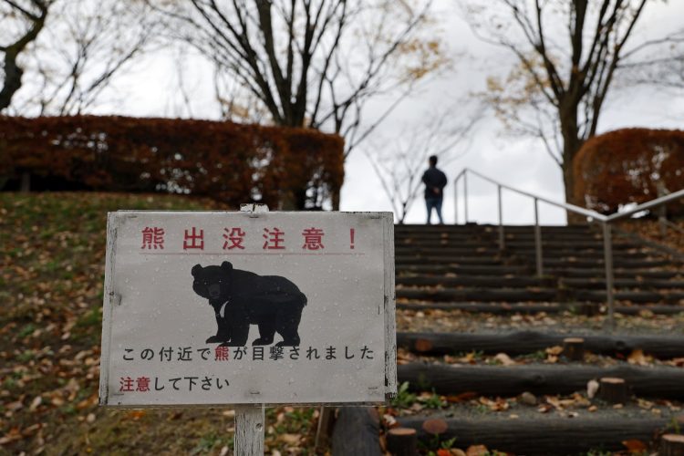 過熱するクマ出没報道の弊害とは（EPA＝時事）