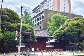 東大が2027年9月に新学部「カレッジ・オブ・デザイン」を創設する