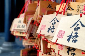 2026年以降、大学進学率が上昇したとしても進学者数は減り続ける見込み（イメージ）