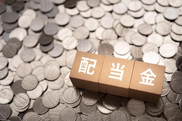 株式投資で配当は魅力だが、銘柄選定には他にも要素がある（イメージ）